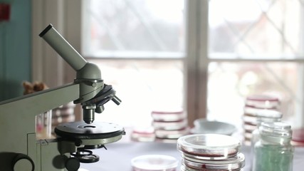 Wall Mural - Microscope in a medical laboratory at the hospital