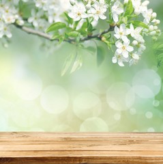 Wall Mural - Background. Spring background with wooden planks