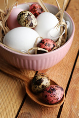 Wall Mural - Bird colorful eggs in bowl on wooden background