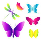 Fototapeta Motyle - butterflies design