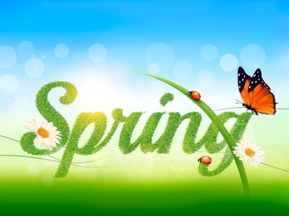 Aufkleber - Spring background with grass, sky and a butterfly. Vector.