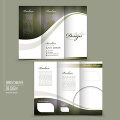 Wall Mural - graceful tri-fold brochure template design