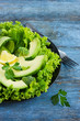 fresh green salad with avocado, cucumber and broccoli