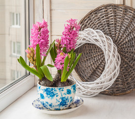 Hyacinth in a pot with a vintage patter