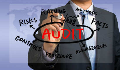 Wall Mural - audit concept hand drawing by businessman