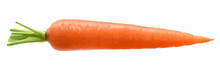 Liegende Karotte