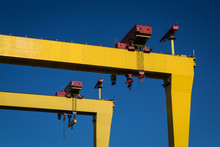 Belfast Cranes