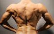 © ShutterDivision - Bodybuilder's back
