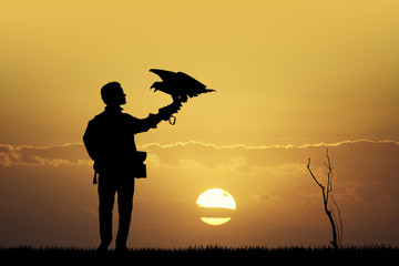 falconer at sunset