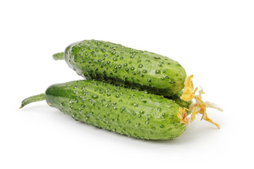 three ripe green garden cucumbers isolated