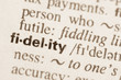 Dictionary definition of word fidelity