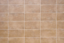 Brown Ceramic Tiles With White Fugue On Wall