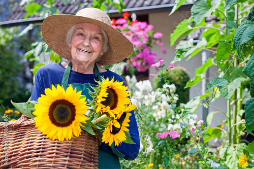 Fotografie, Obraz Happy Old Woman with Baskets of Fresh Sunflowers.