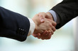 © Africa Studio - Business handshake on bright background