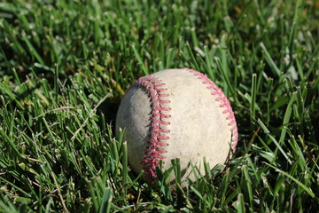 Baseball in grass