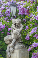 Faun Statue, Background Of Blooming Lilacs,Lazienki In Warsaw