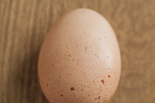 Egg Shell Texture Detail
