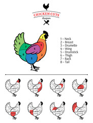 Wall Mural - Chicken Cuts Diagram