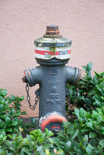 Weathered Gray Fire Hydrant
