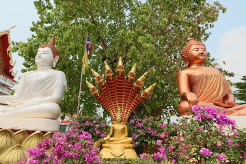 Buddha statue