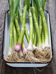 Wall Mural - rustic tray of leeks