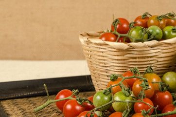 Wall Mural - Cherry tomatoes