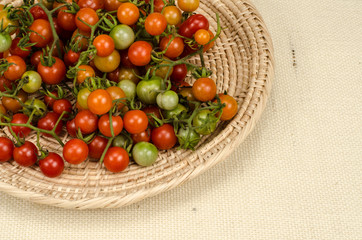 Wall Mural - Cherry tomatoes