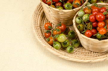 Wall Mural - Cherry tomatoes