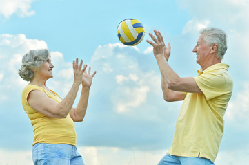 Canvas Print - couple playing volleyball 