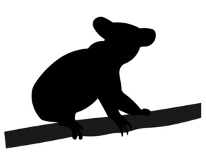 Wall Mural - Koala Silhouette