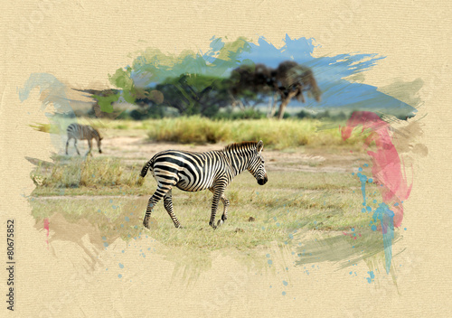 Naklejka ścienna Zebra on textured paper. Brush effect