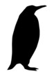 Pinguin Silhouette