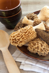 Canvas Print - Fresh morel mushrooms on a plate