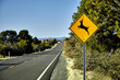 © Pamela Au - Deer Crossing Road Sign on side of asphalt road with pine trees