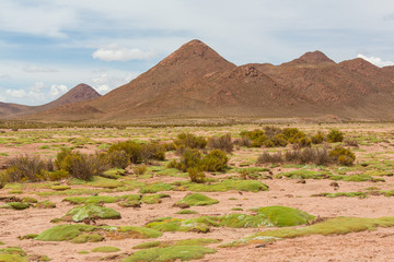 northern argentina