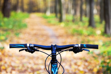 Wall Mural - Mountain biking down hill descending fast on bicycle. View from