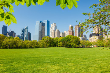 Wall Mural - Central park, New York