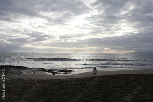 Playa La Caleta Tenerife Soledad Buy This Stock Photo And