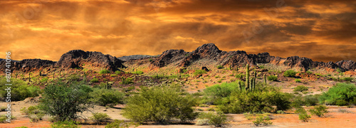 Foto-Kissen premium - New Mexico Border (von Laurin Rinder)