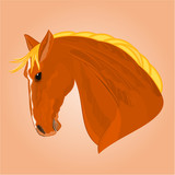 Fototapeta Konie - The red horse stallion head vector