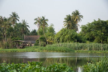 river  landscape