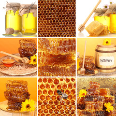 Wall Mural - Collage of sweet honey and honeycombs