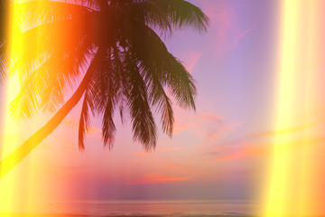 Wall Mural - Tropical beach with palm tree at sunset, vintage stylized