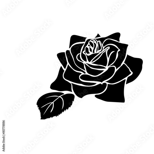 Nowoczesny obraz na płótnie silhouette of rose