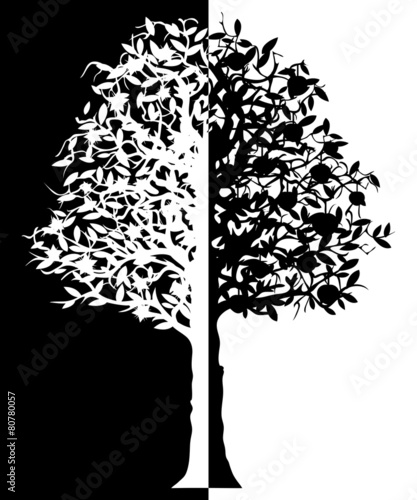 Arbre Zen Buy This Stock Vector And Explore Similar Vectors At Adobe Stock Adobe Stock