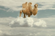 camel floating on a puffy cloud in a sky