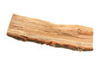 Oak firewood piece
