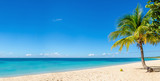 Fototapeta  - Amazing sandy beach with coconut palm tree and blue sky, Caribbe
