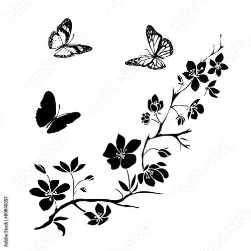 Fototapeta do kuchni twig cherry blossoms and butterflies