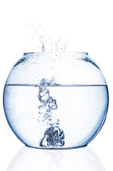 Water splash in fishbowl on white background